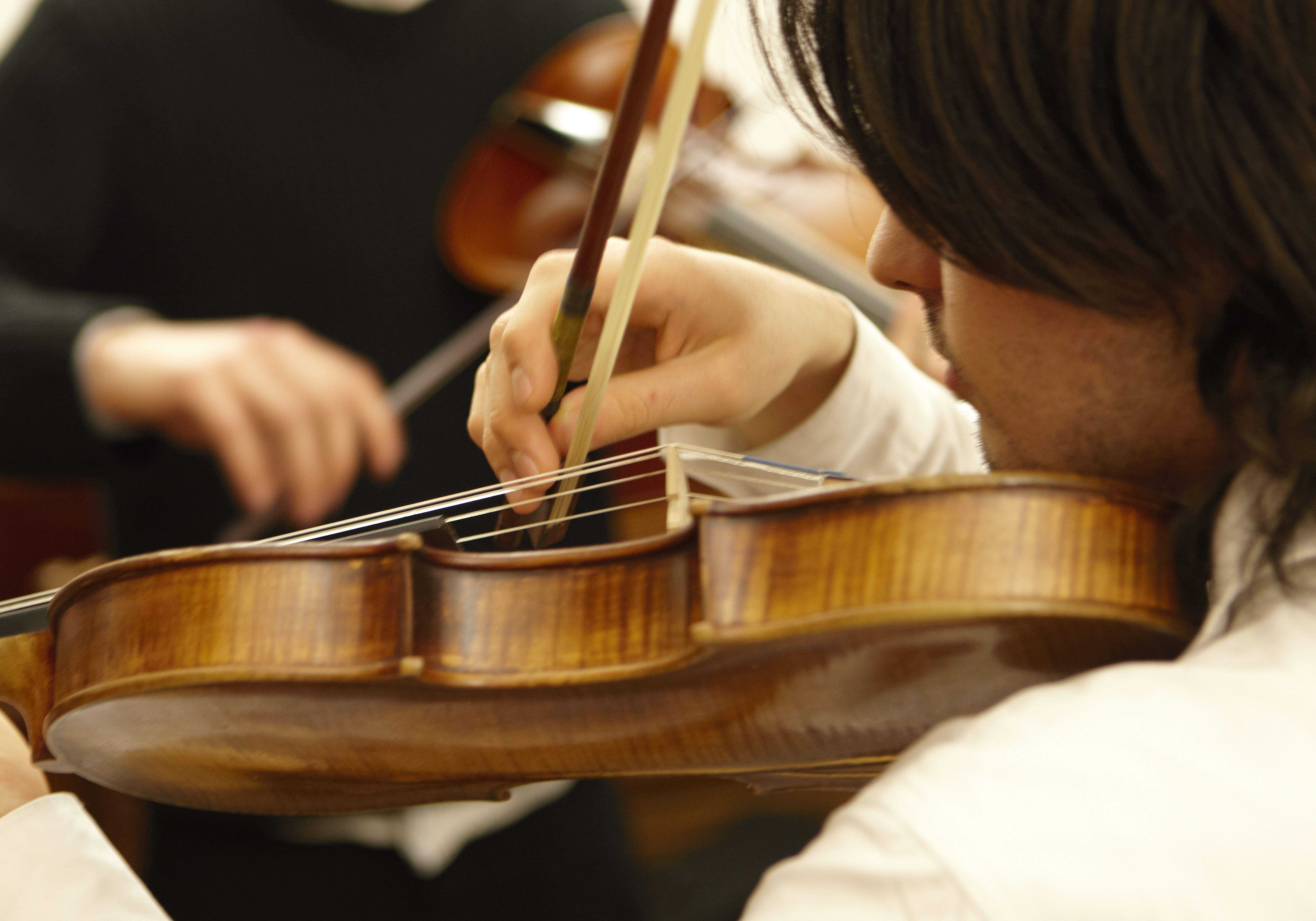 Concert of the Violin Class