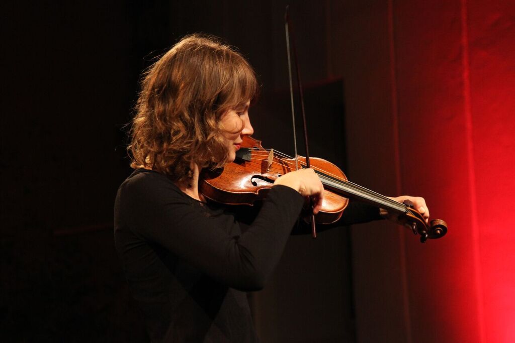 Harmonia artificiosa